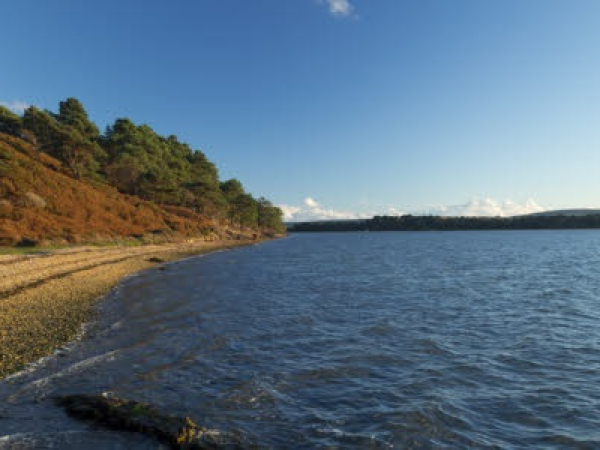 Brownsea Island - Events