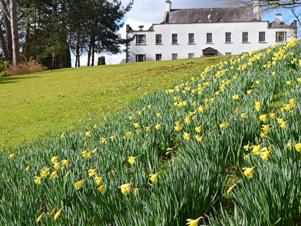 Ardress House