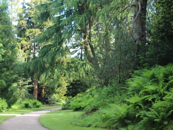 Biddulph Grange Garden - Events