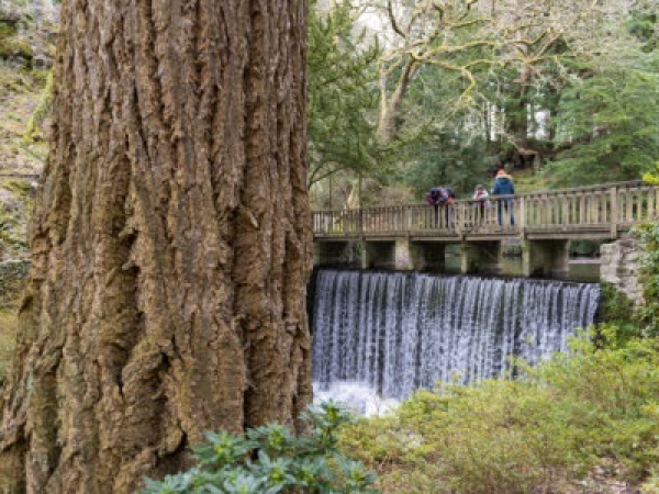 Bodnant Garden - Events