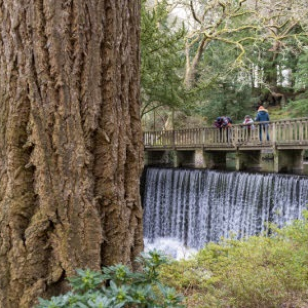 Bodnant Garden - Events