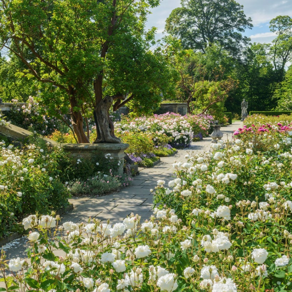 Bodnant Garden - Admissions