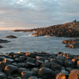 Giant’s Causeway – Standard Visitor Experience Tickets