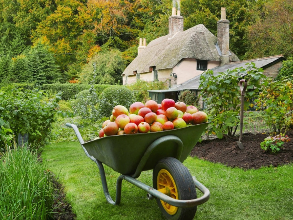 Hardy's Cottage - Events