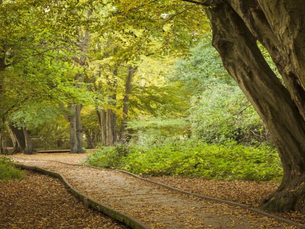 Hatfield Forest - Events