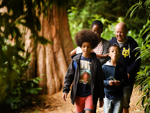 Our free autumn National trust pass promotion has now come to an end. Thank you to everyone who has claimed a free visit.
