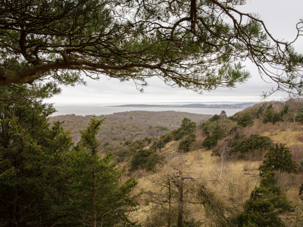 Arnside and Silverdale - Events