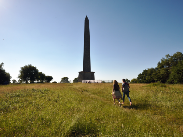 Wellington Monument - Admissions