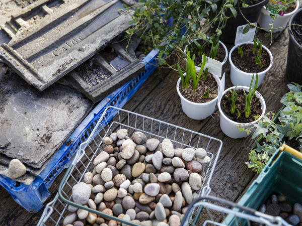 Sky Gardening Challenge - Events