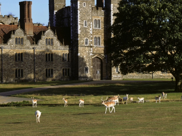 Knole - Events