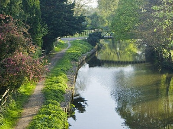 River Wey and Godalming Navigations and Dapdune Wharf - Boat Trip & Craft Licence