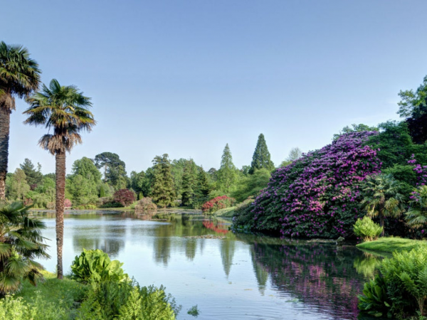 Sheffield Park and Garden