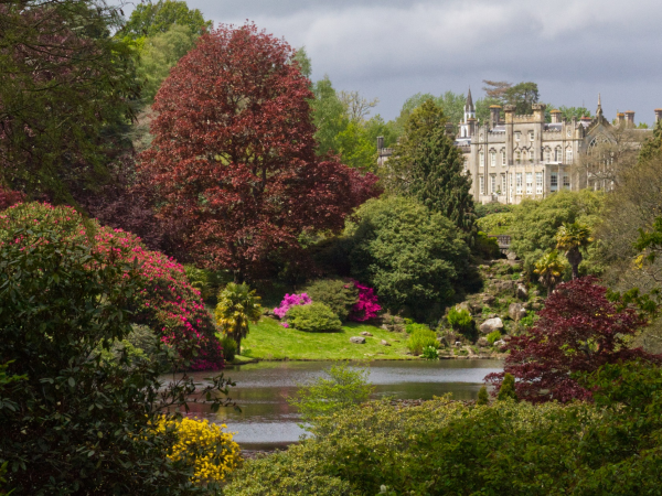 Sheffield Park and Garden - Events