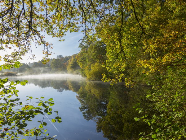 Winkworth Arboretum - Events