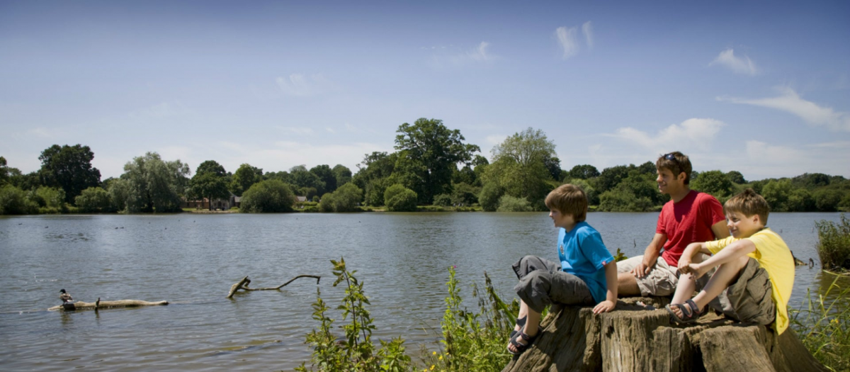 are dogs allowed in hatfield forest