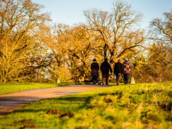 Ickworth Bat Walk
