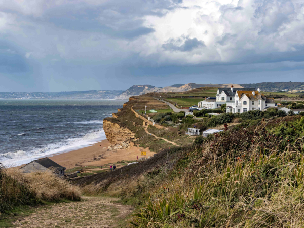 Free Guided Walk - Hive Beach to Cogden - Shifting Shores