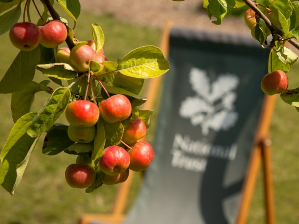 Apple Grafting Workshop