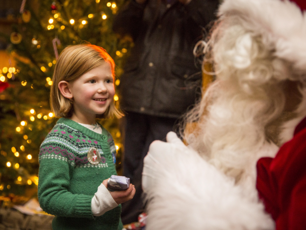 Visit Father Christmas at Hatchlands Park 2024