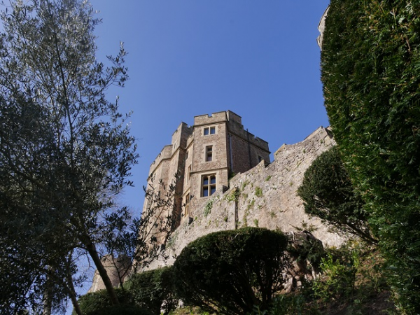 Dunster Experience Days - A Day with the Collections and House Manager