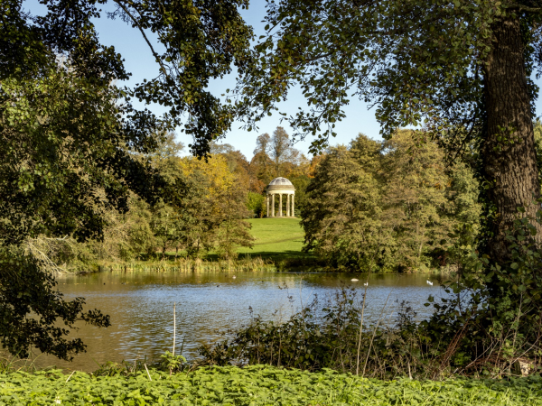 Seasonal Guided Walk: Native Trees to Climate Change