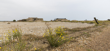Be a Ranger for the Day - Orford Ness