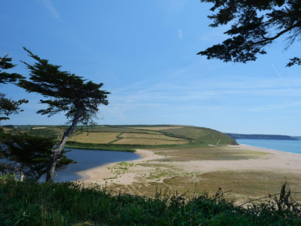 A Natural History of Loe Bar and the Sandhill Rustic Moth