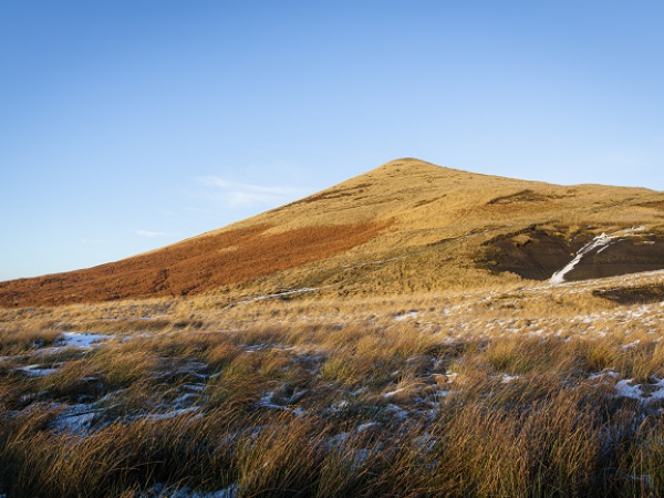 Guided Walk: Seasonal Saunter