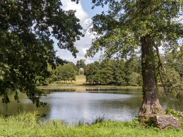 Seasonal Guided Walk: Bigger, Taller, Champion Trees