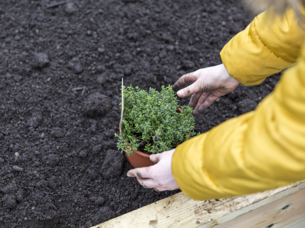 Herb Planter Workshop with Grand Union