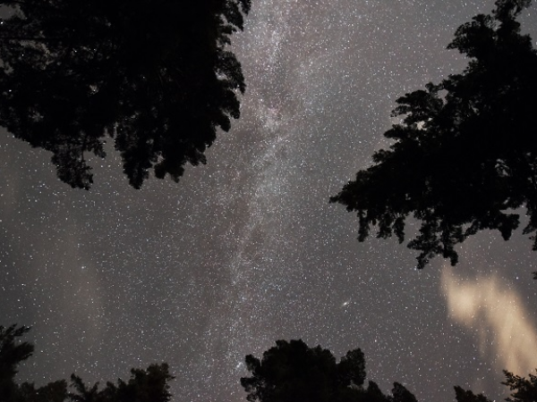 Family Stargazing Evening at Fell Foot