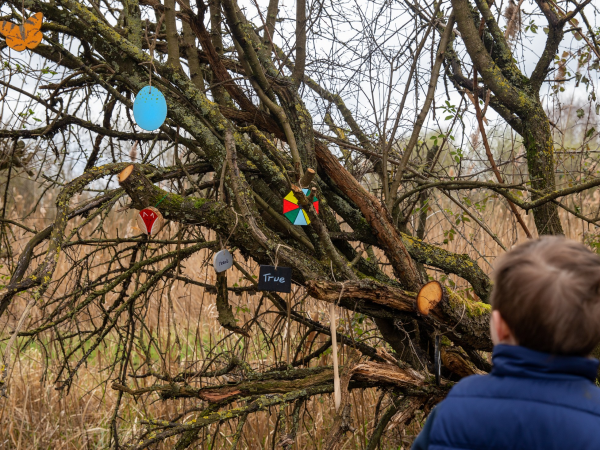 Open Day at our Countryside Hub