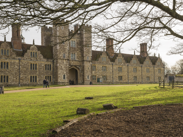 Family craft: Easter biscuit decorating