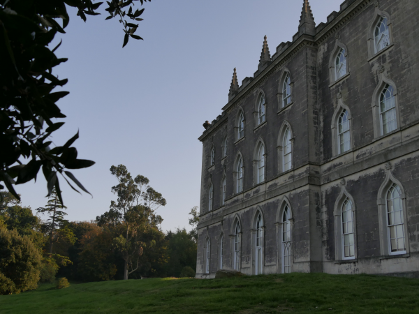 An Evening of Irish Music with The Higgins Clan at Castle Ward