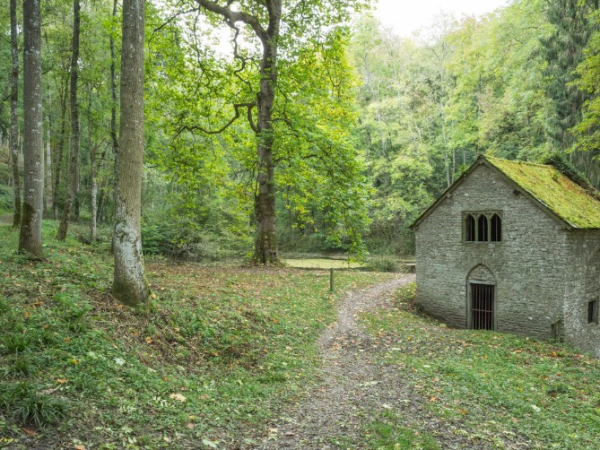 Guided walk: Fishpool Valley