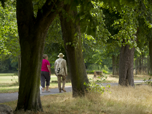 Tree Walk with Tea - World Ranger Day Thur 31 July
