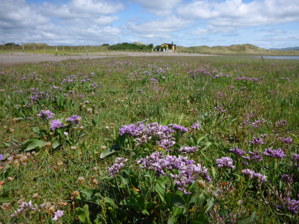 Nature's Story Walk - Sandscale Haws