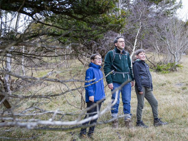 Nature's Sound Walks - Arnside and Silverdale