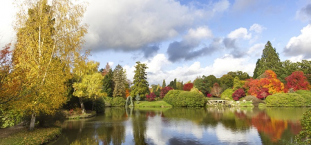 Autumn Colour Photography Workshop: Beginners Course at Sheffield Park and Garden