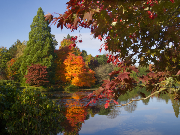 Autumn Colour Photography Workshop: Beginners