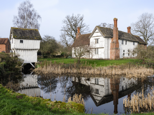 Yoga in Nature: Mindful Moment
