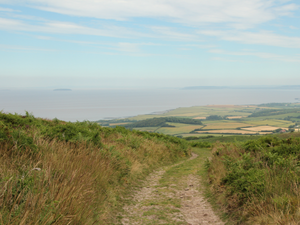 Quantock Hills Walking Festival | Quantock Volcano