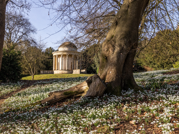 Seasonal Guided Walk: Spring has Sprung
