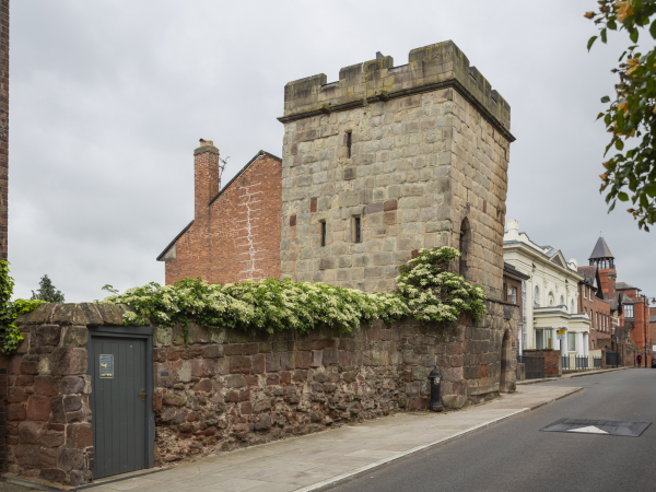 Town Walls Tower Tour 2025