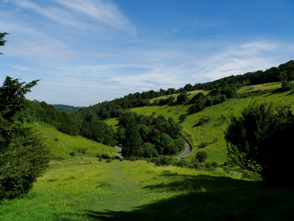 Hill to Heath Guided Hike
