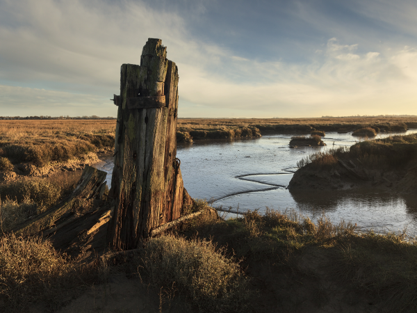 Art on the Island: Sea Level Rise Walk