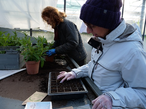 Introduction to Seed Sowing Workshop