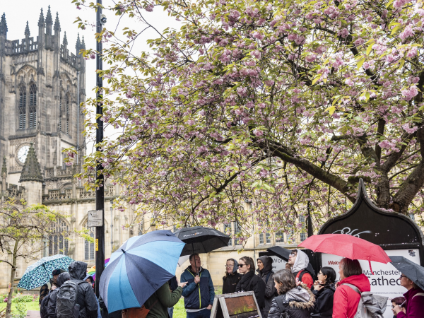 Blossom & Bloomtown: Stories in Bloom Poetry Walk (Castlefield Viaduct)