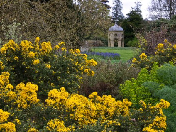 Woolbeding Gardens – dates BETWEEN 25 June and 1 September 2026