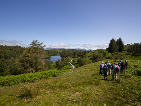 Group Walk - Highs and lows